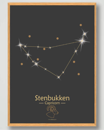 Stjernebillede Stenbukken  Sort  Plakat