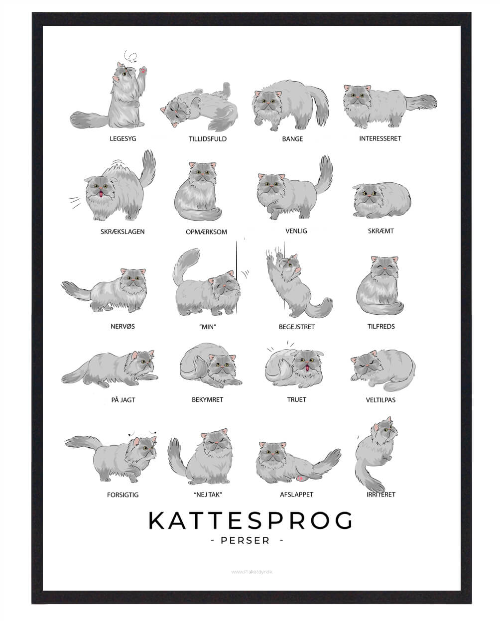 Kattesprog Perser Kat Grå Plakat