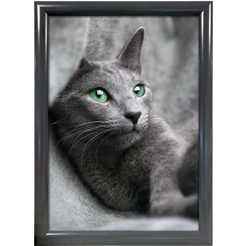 Alu Snap Frame 25mm  70x100cm Antracit