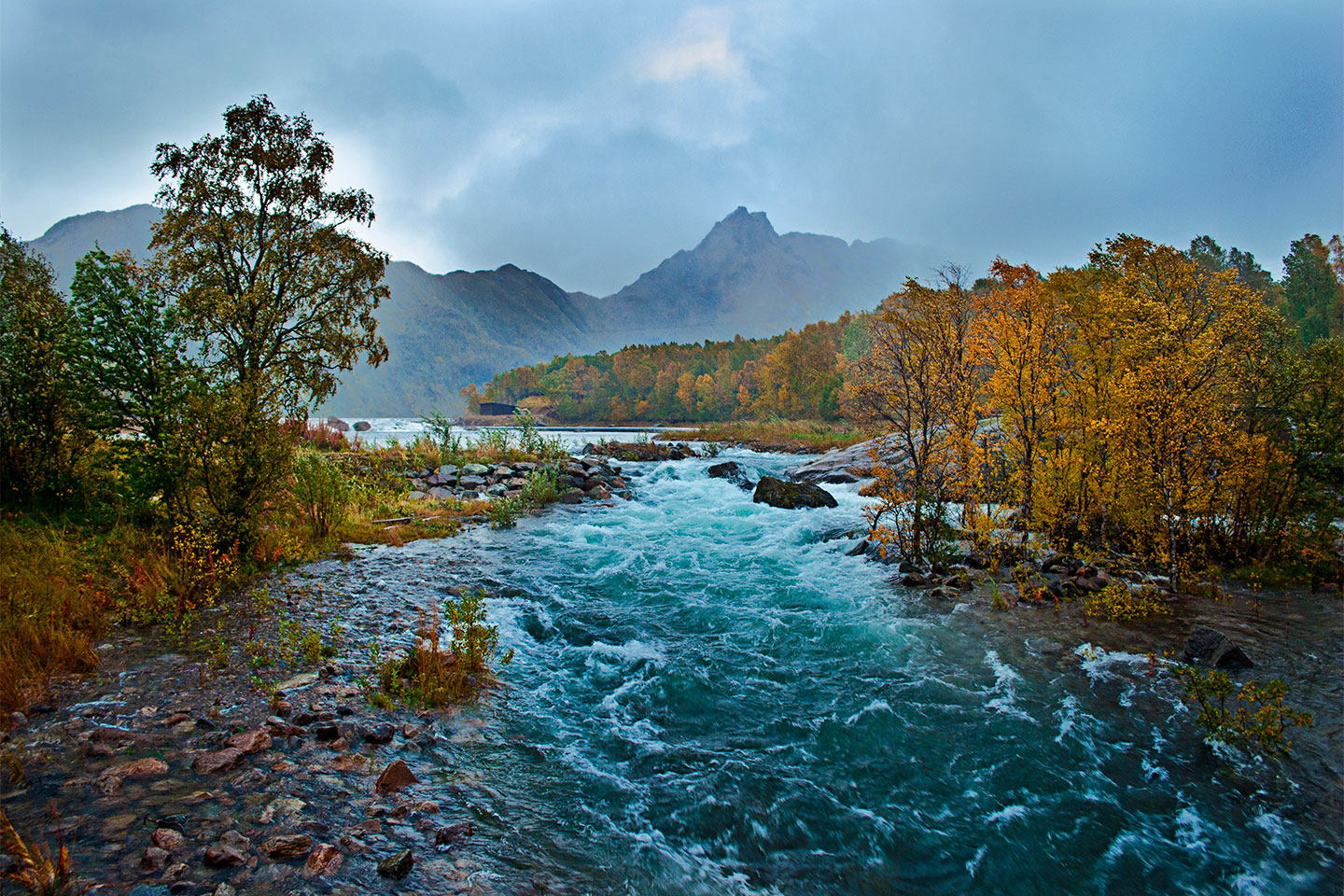 Autumn River Af Frank Olsen