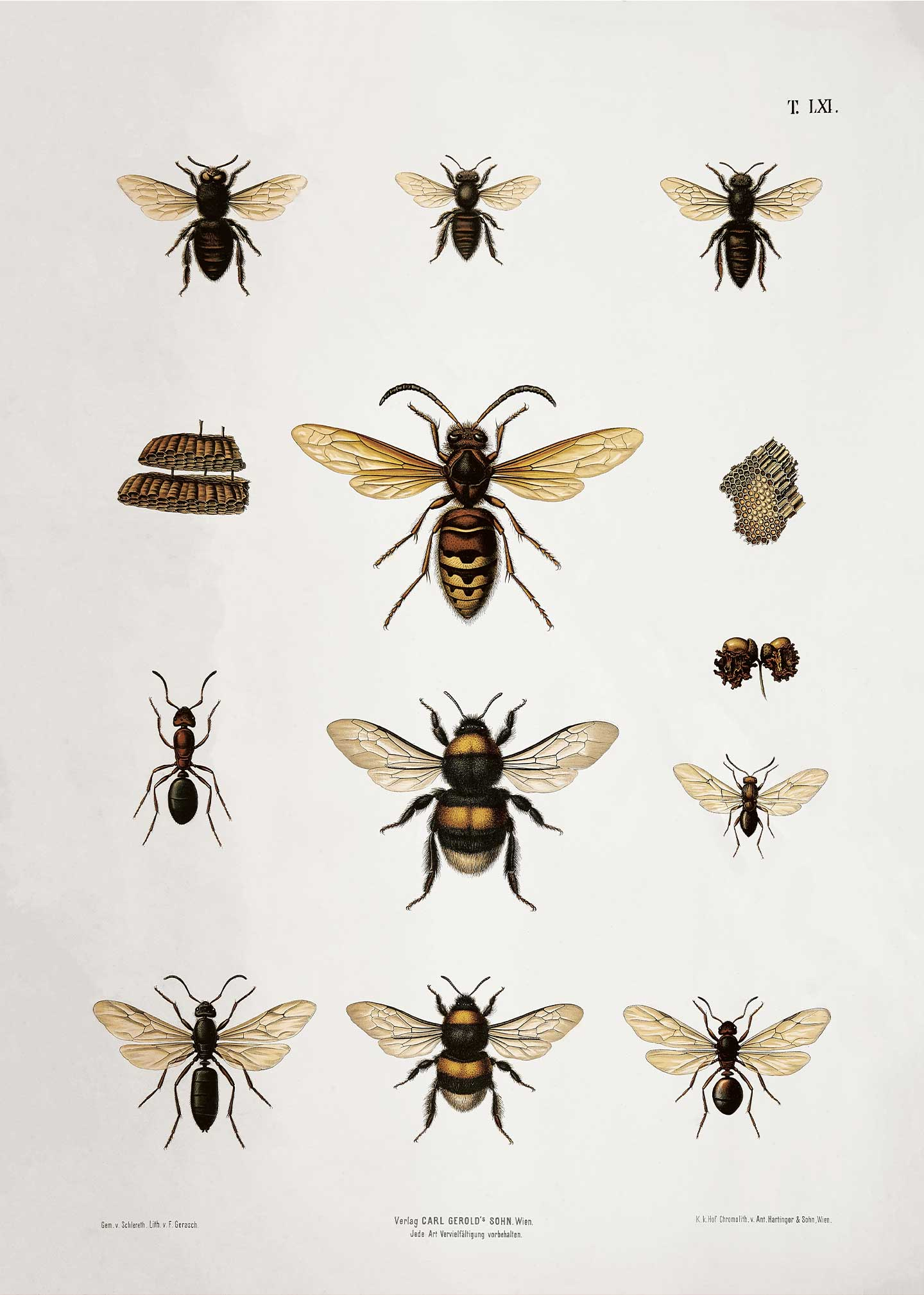 Bees Af Vintage Vista Designs