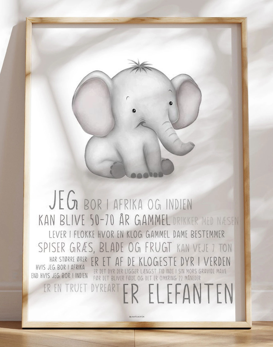 Børneplakat Med Elefant Lær Om Elefanten