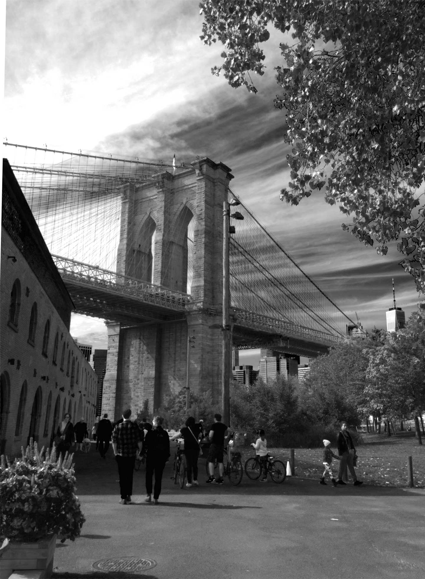 Brooklyn Bridge Af Palle Hasling Jakobsen