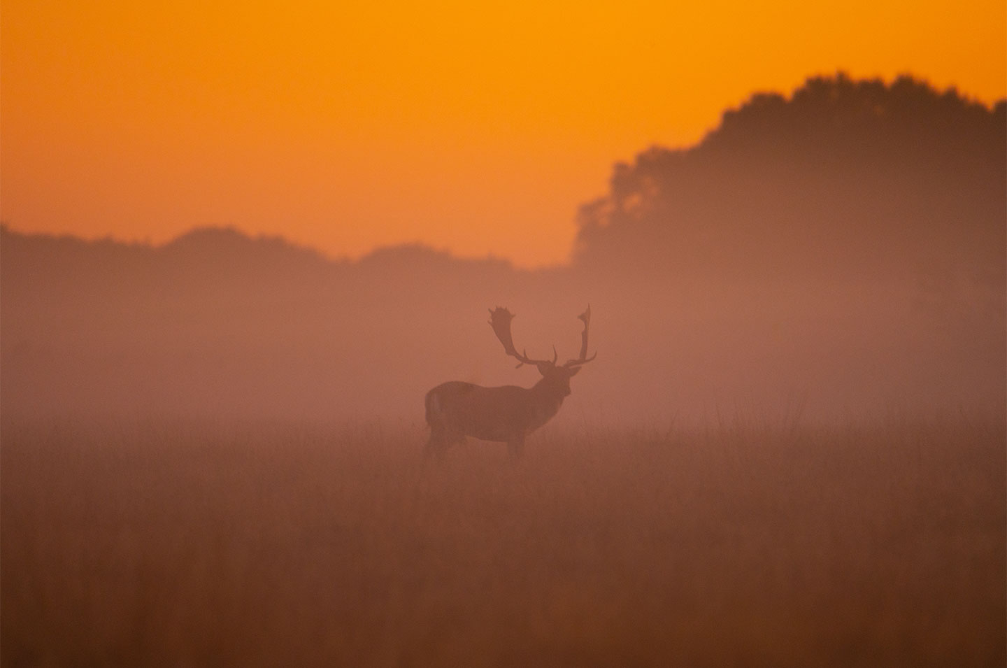 Dawning Of   New Day Af Daniel Faisst