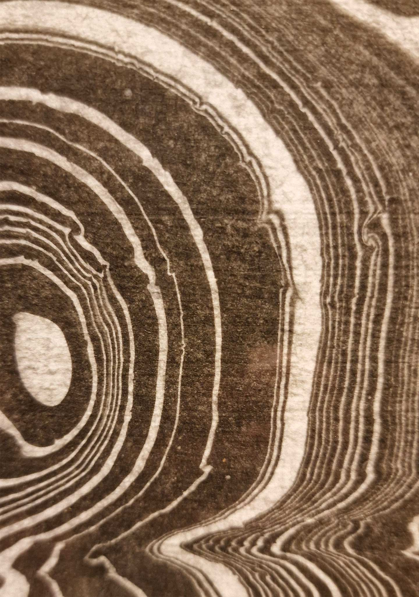 Detalje Tidsårer Af Cilia Sindt