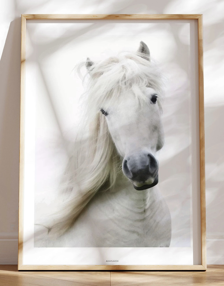 Hesteplakat Hvid Hest