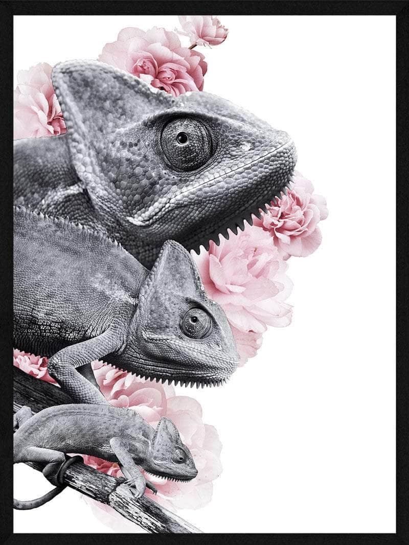 Kamæleon Plakat