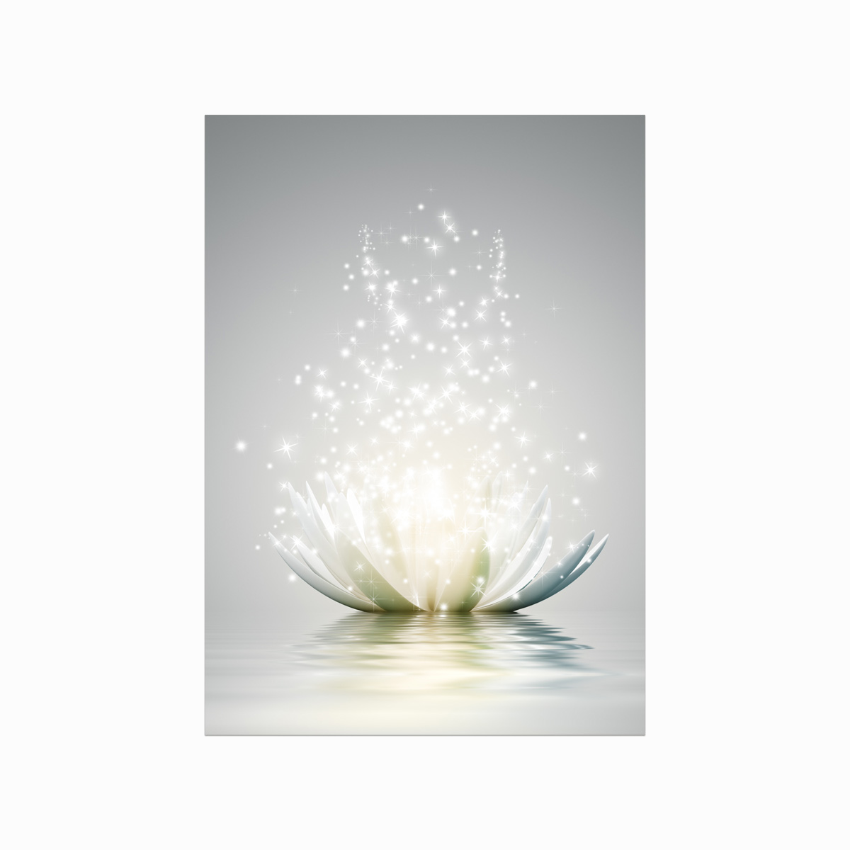 Magic Lotus