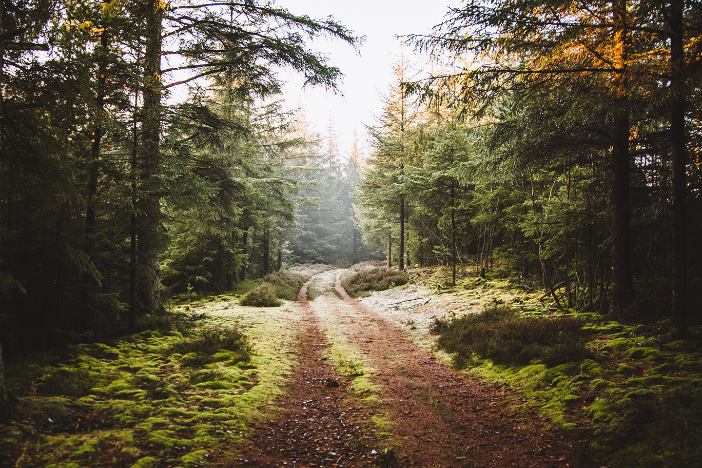 Nationalpark Thy   Af Torben Hedegaard