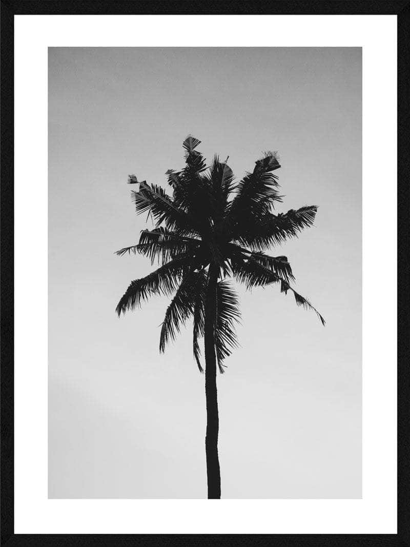 Palme Plakat