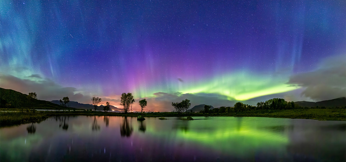 Reflections In The Pond Af Frank Olsen
