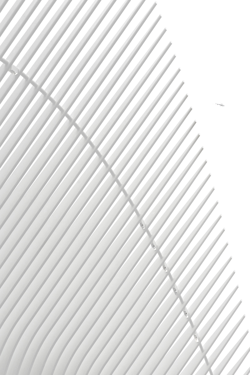The Oculus No    Af Frames
