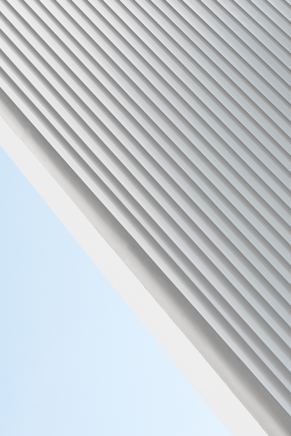 The Oculus No    Af Frames