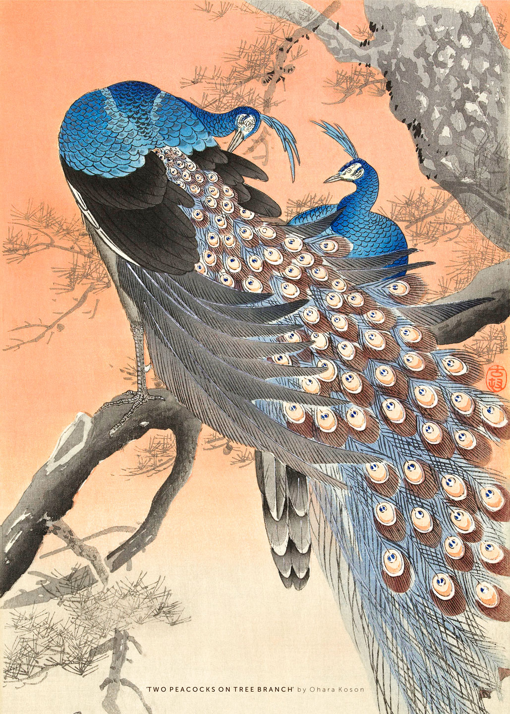 Two Peacocks On Tree Branch Af Plakatwerket