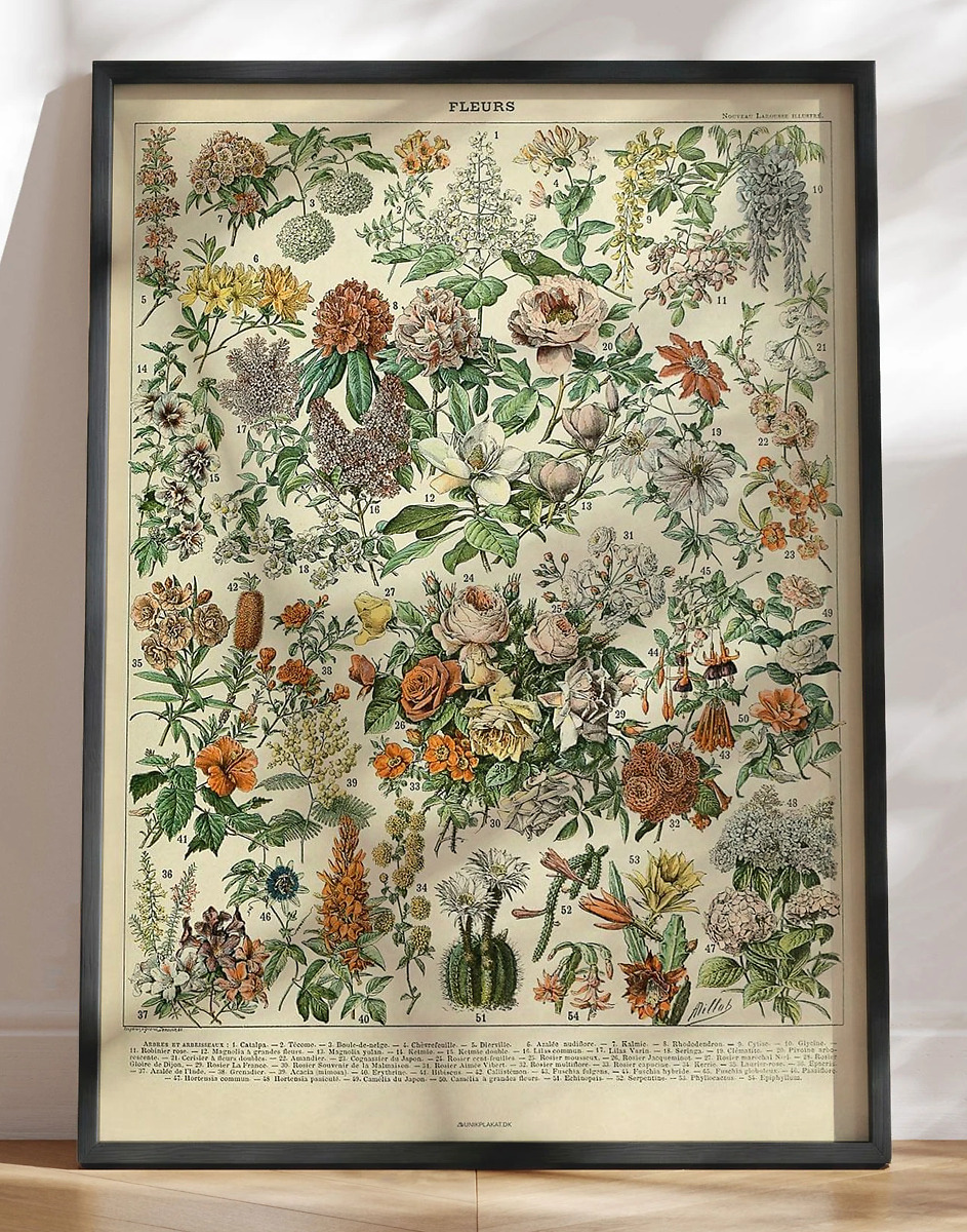 Adolphe Millot Fleurs Antik Plakat Med Blomster