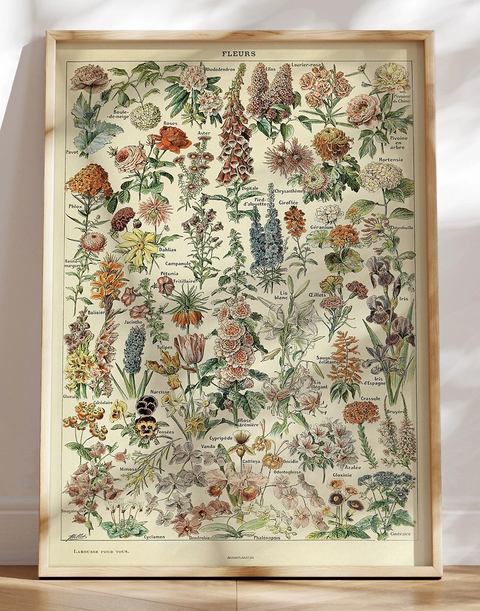 Adolphe Millot Fleurs Blomsterplakat