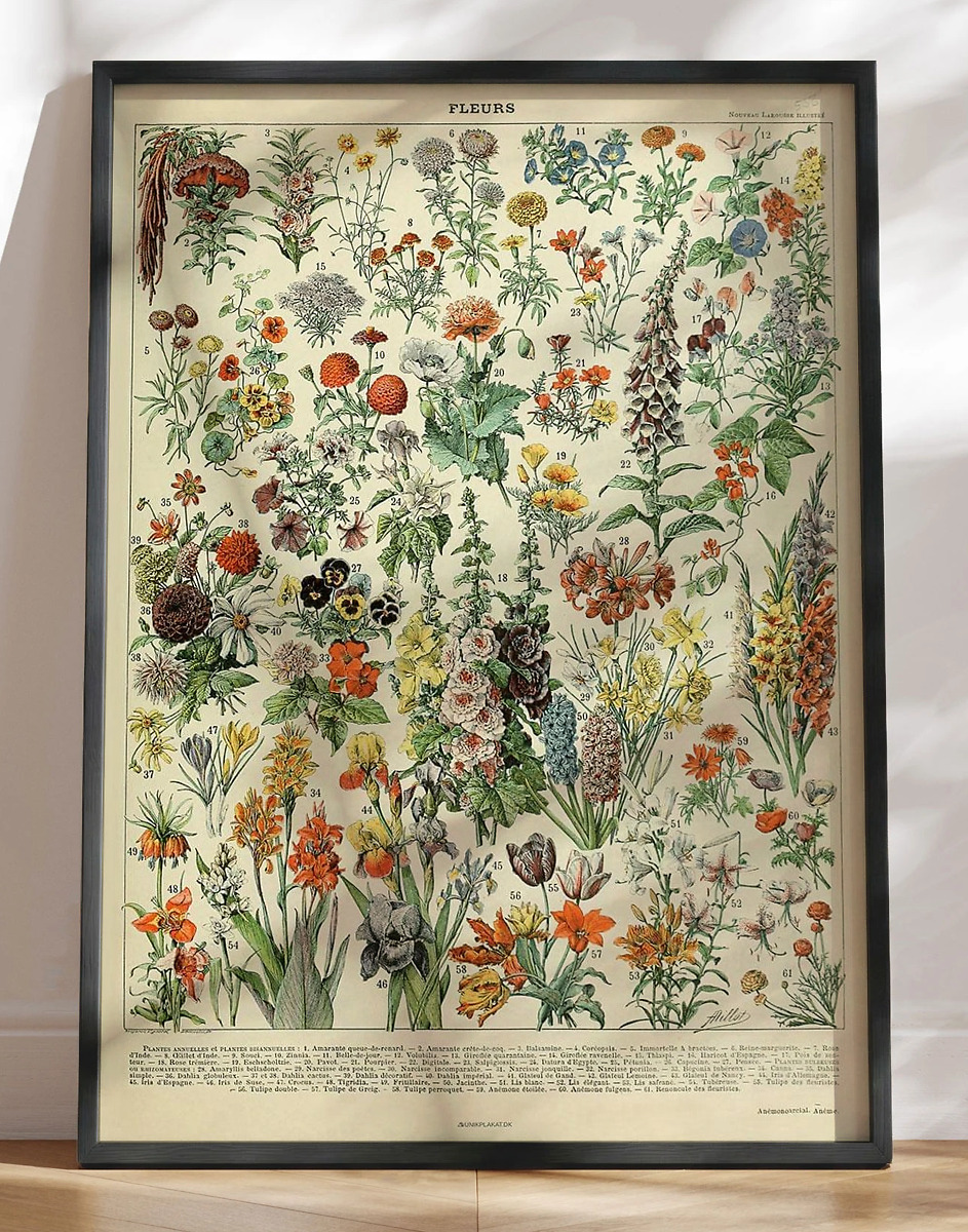 Adolphe Millot Fleurs Retroplakat Med Blomster