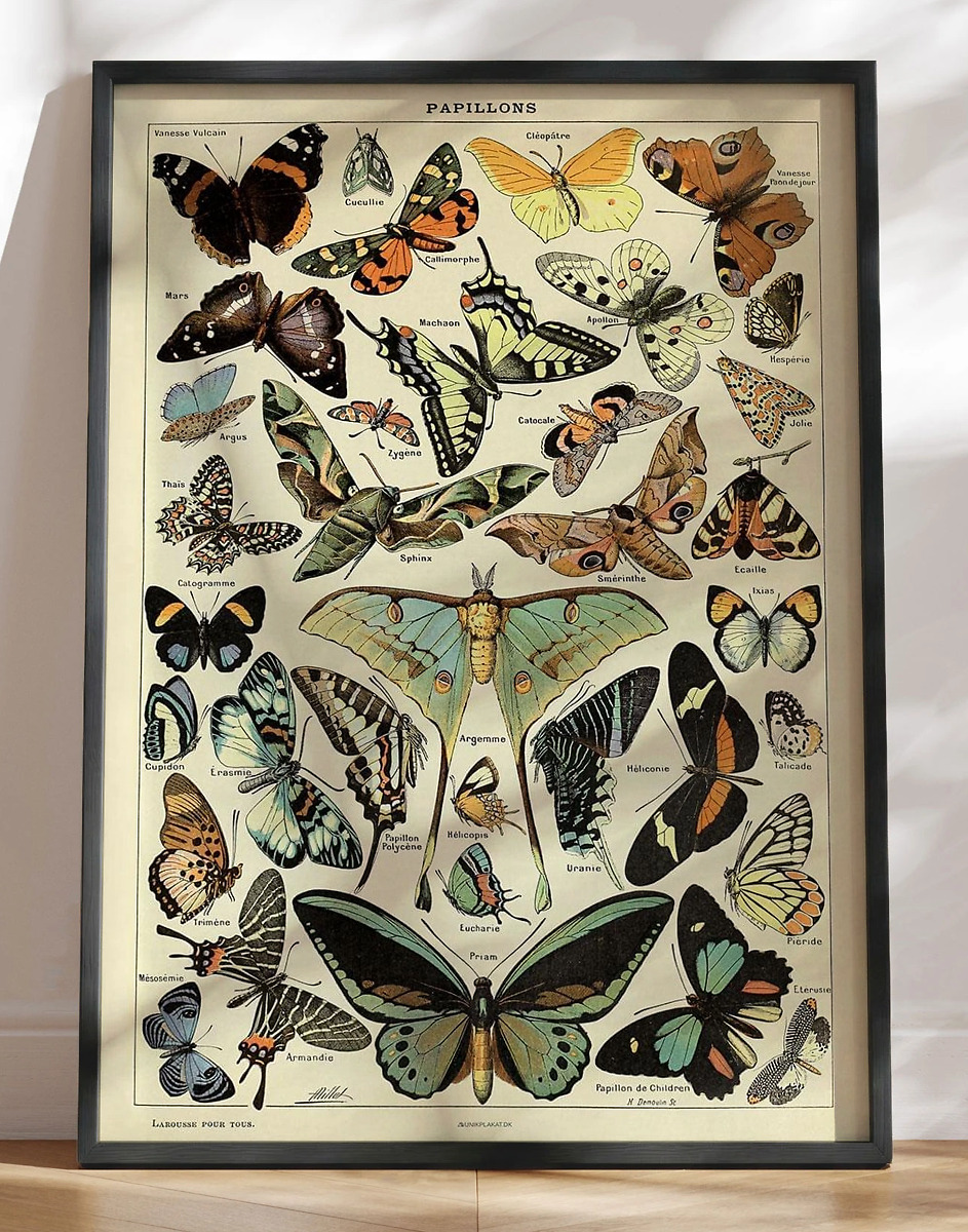 Adolphe Millot Papillons Pour Tous Retroplakat Med Sommerfugle