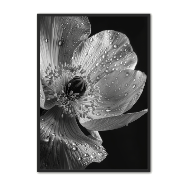 Blomster Plakat 11 Naturplakater