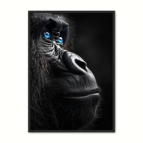 Blue Eyes 20 Gorilla