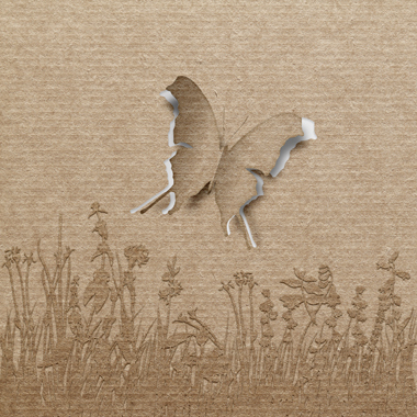 Butterfly Af Jakub Stodulski