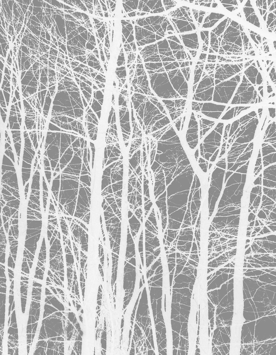Cherrytree Grey Af Kirsten Stigsgaard