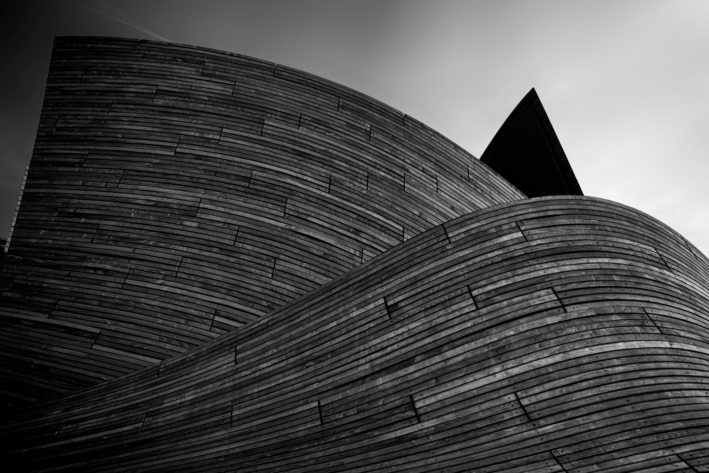 Curves Af Gustavo Orensztajn