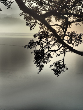 Dawn Af Bytraberg