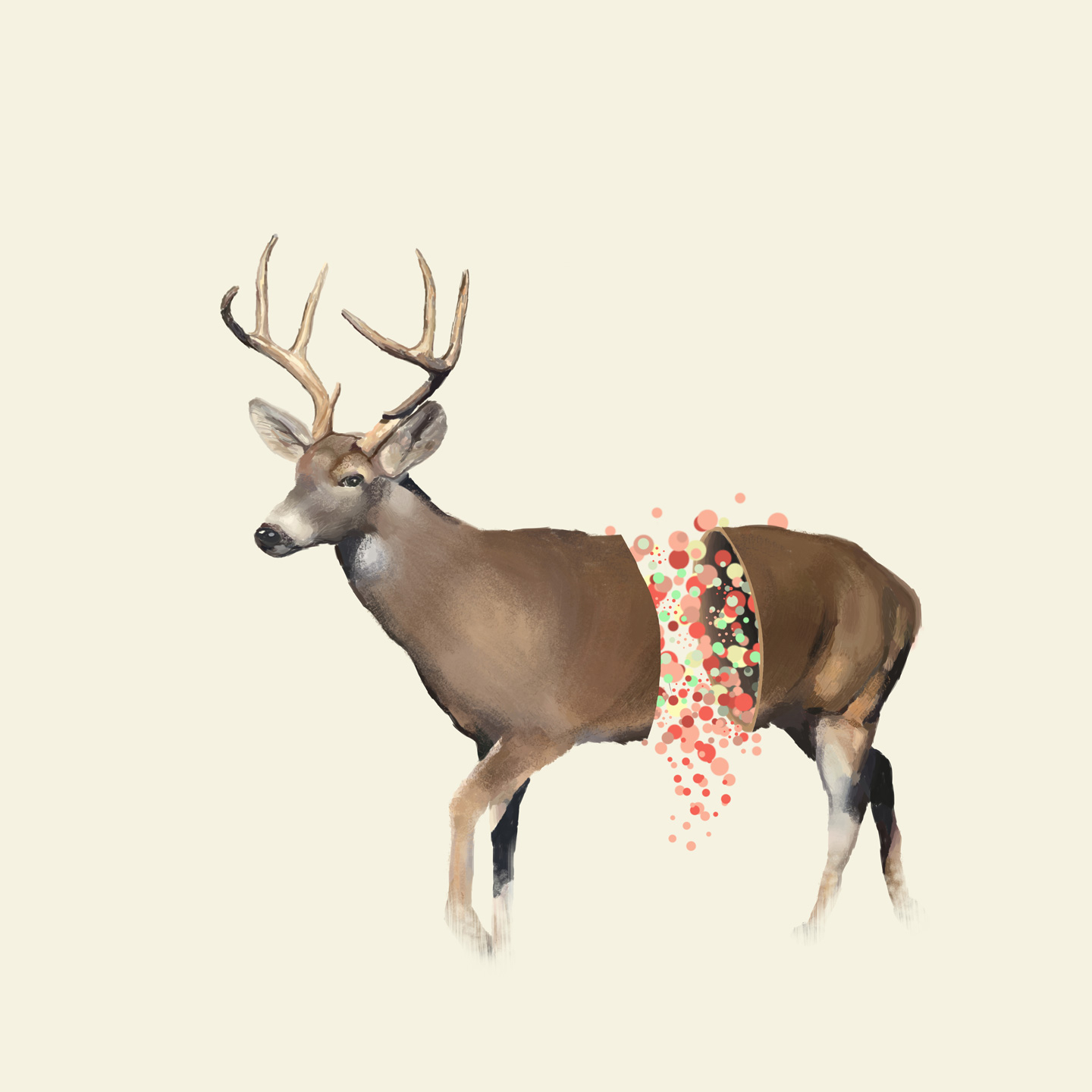 Deer Af Mads Hindhede