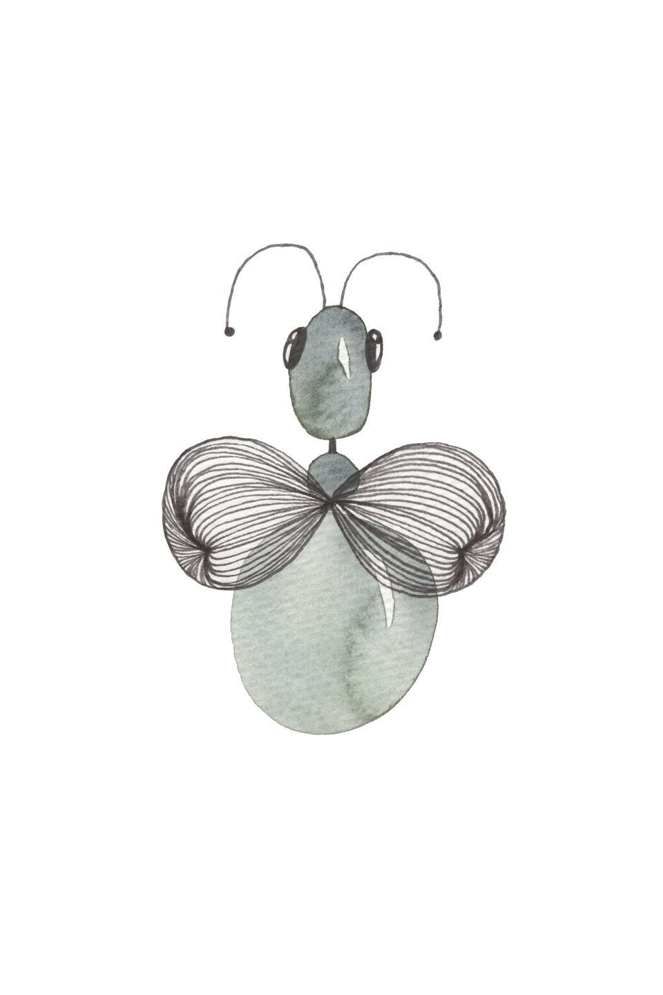 Diptera Af Lise Søgaard
