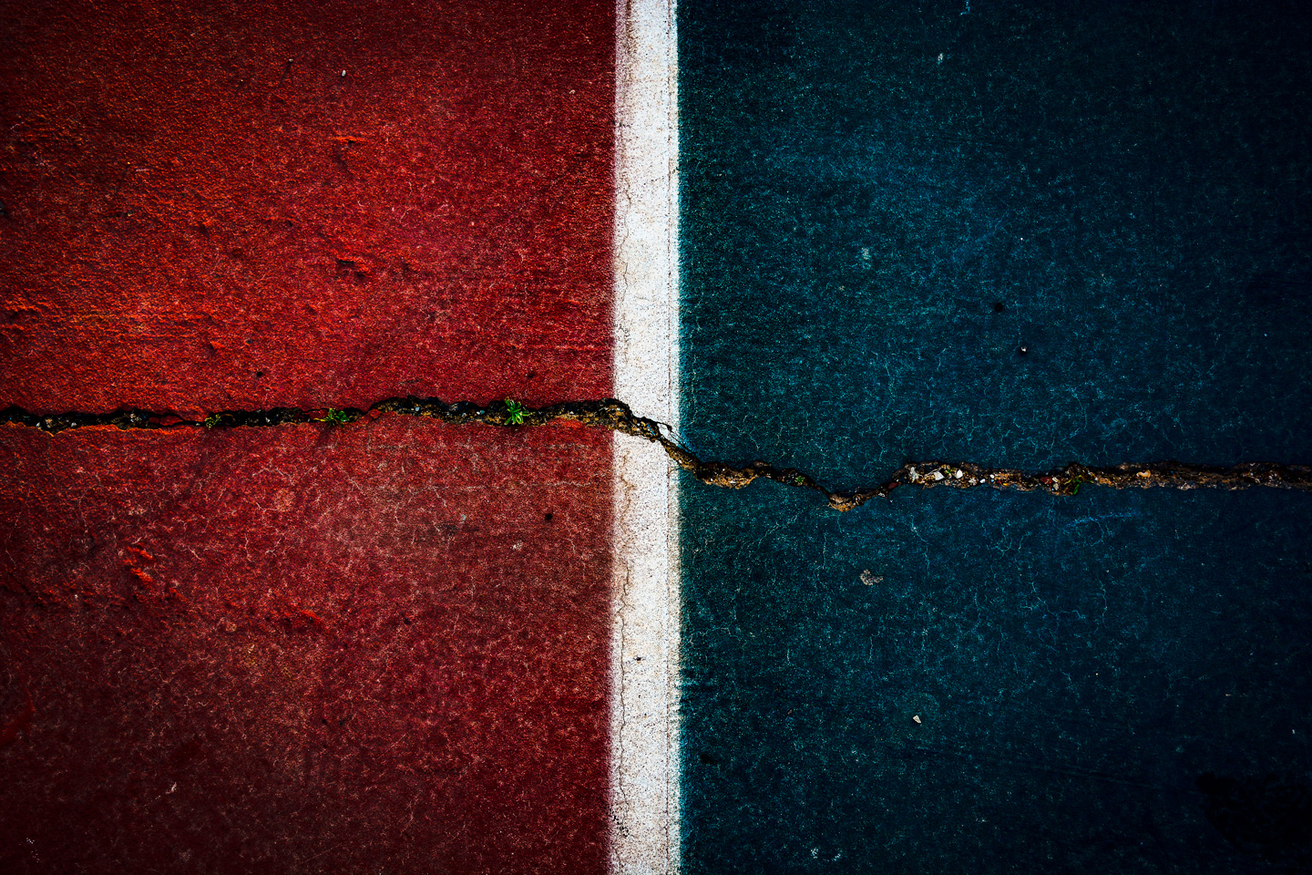 Fault Lines   Af Tal Paz-fridman