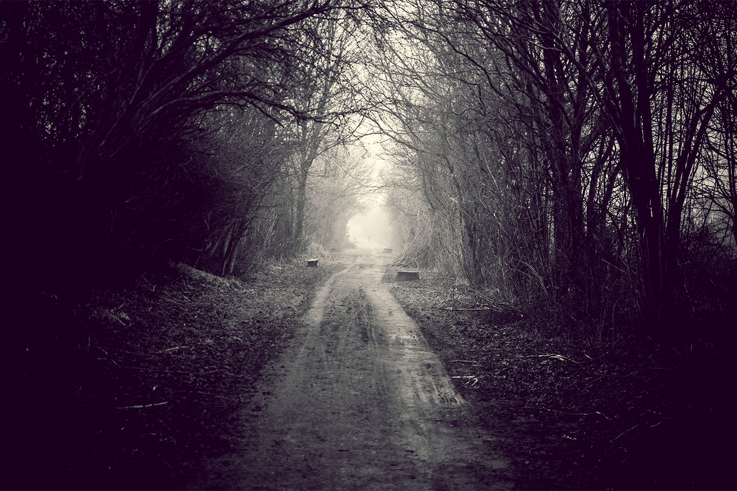Foggy Path Af Henrik Hansen