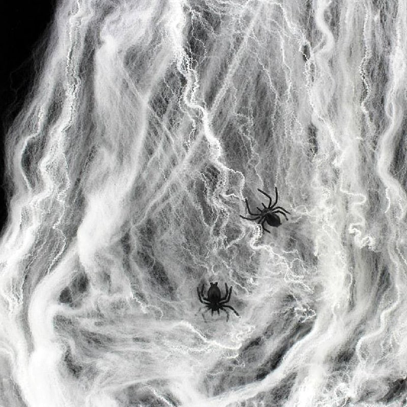 Halloween Spindelvæv Med Edderkopper  Skab Uhyggelig Stemning