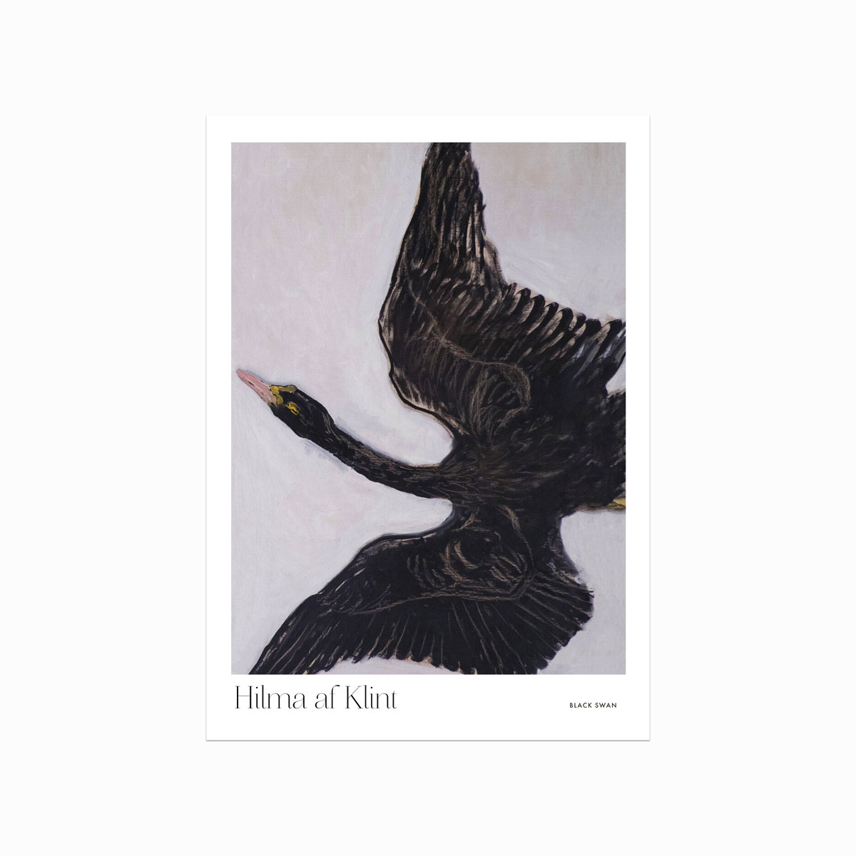 Hilma Af Klint  Black Swan