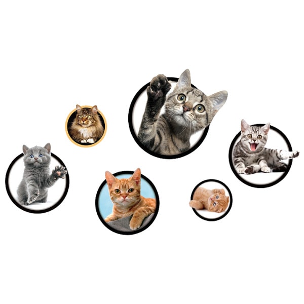 Katte Wallsticker    Søde Kattekillinger