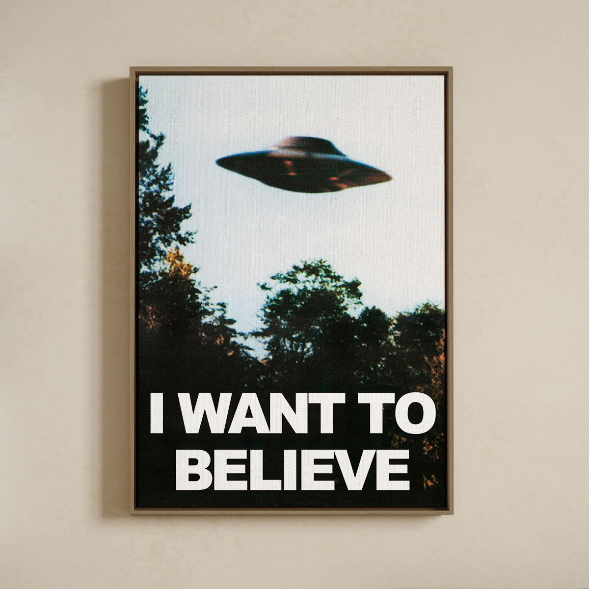 Lærredsprint Med Svæveramme    Want To Believe