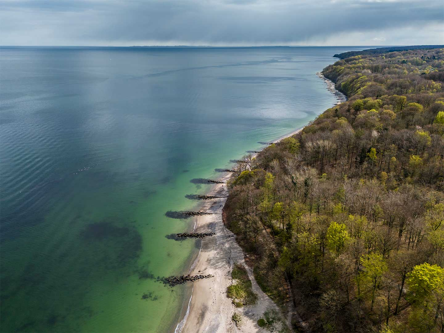 Marselisborg Skov Af Kenneth Bagge