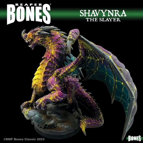 Reaper Bones Classic: Shavynra The Slayer  Huge Dragon Plastic Miniature Deluxe Boxed Set