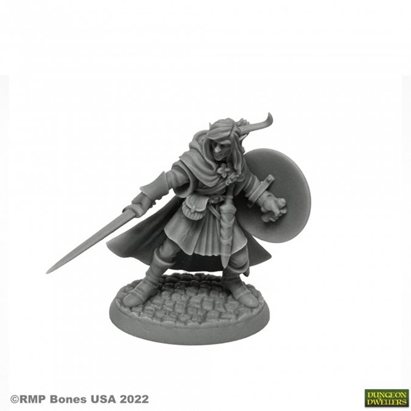 Reaper Bones Usa Dungeon Dwellers: Mellonir Windrunner  Elf Warrior Plastic Miniature