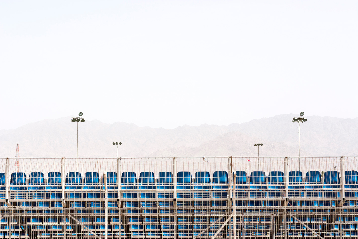 Scenes Af Tal Paz-fridman