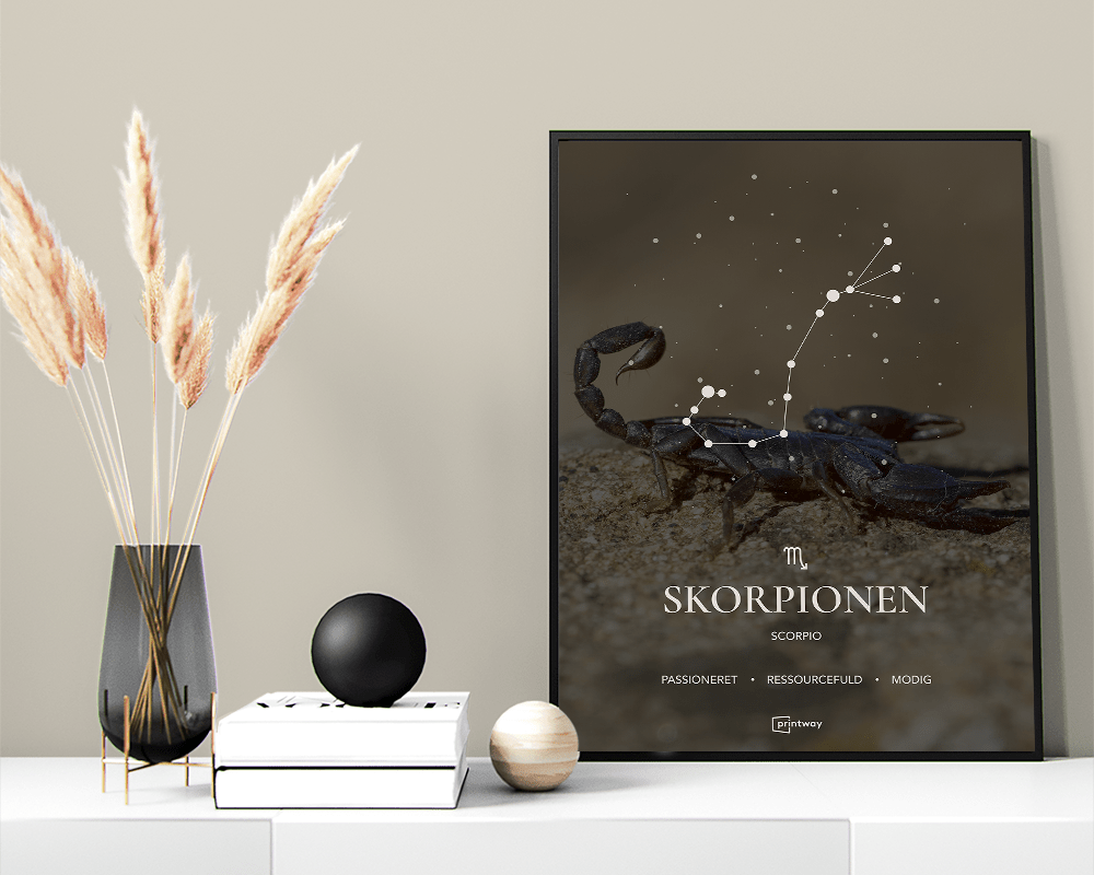 Skorpionen Stjernetegn Plakat