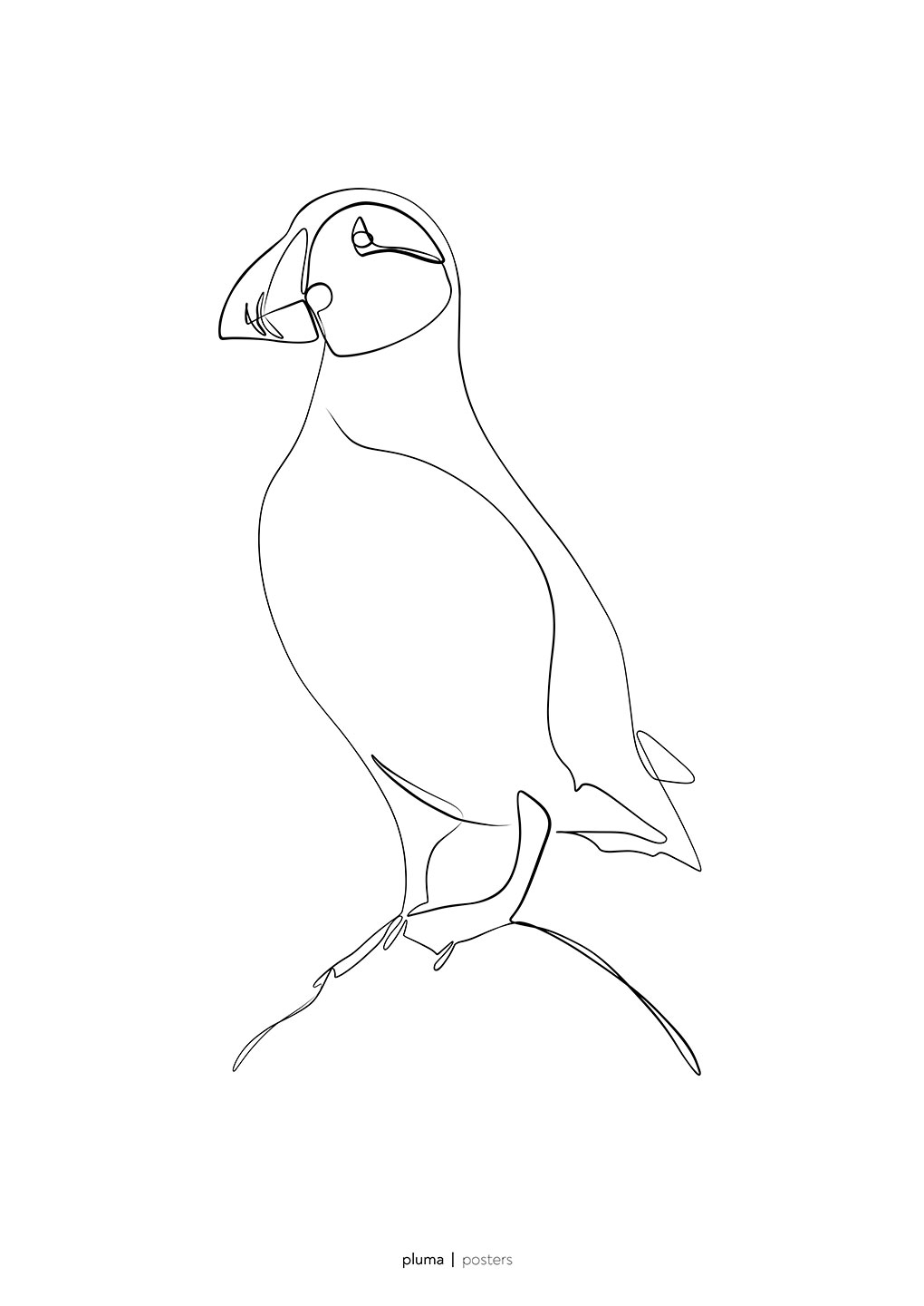 Søpapegøje Af Pluma Posters