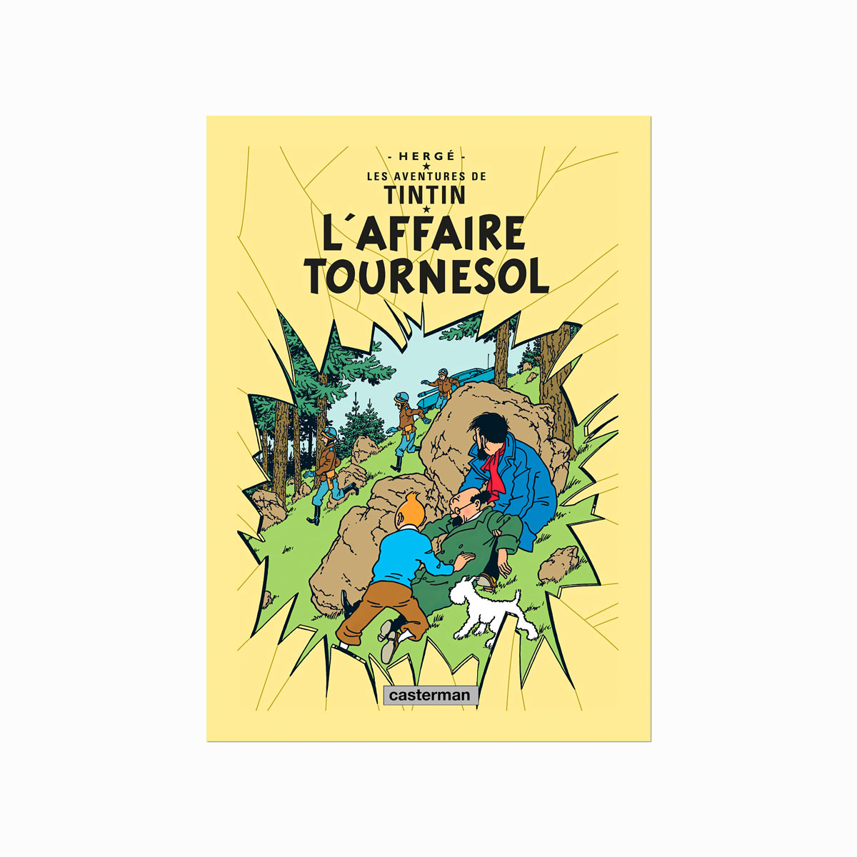 Tintin Plakat    Affaire Tournesol  1956