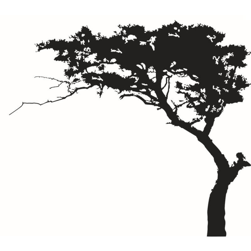 Træ Wallsticker Med Et Stort Flot Træ   Bonsai Stil  180x220cm