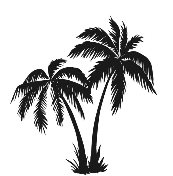 Wallsticker Med Flotte Palmer  58x62cm