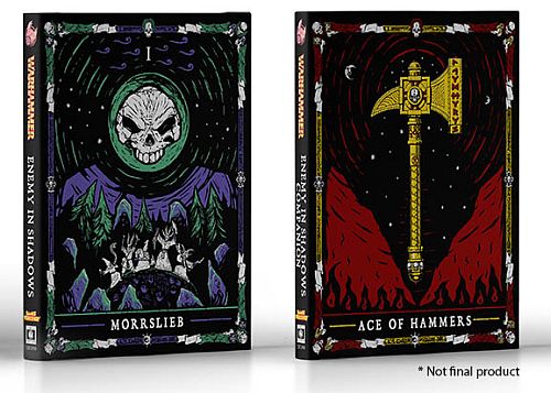Warhammer Fantasy Roleplay  4th Edition  Wfrpg 4e :  Adventure Campaign Enemy Within     Collector   Edition: Enemy In Shadows Cubicle