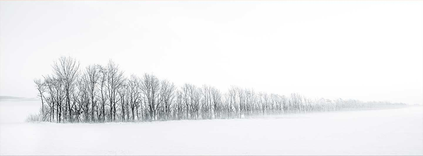 Winter Trees Af Rasmus Gundorff Sæderup
