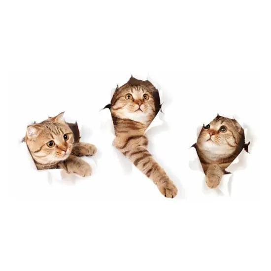 Katte Wallsticker  På Vej Igennem Væggen
