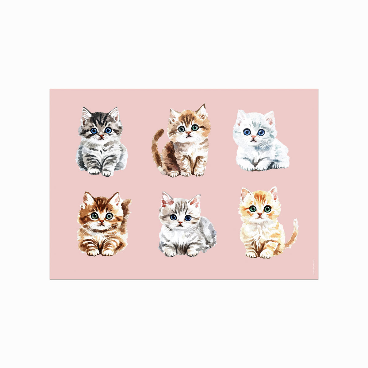 Kitten Parade