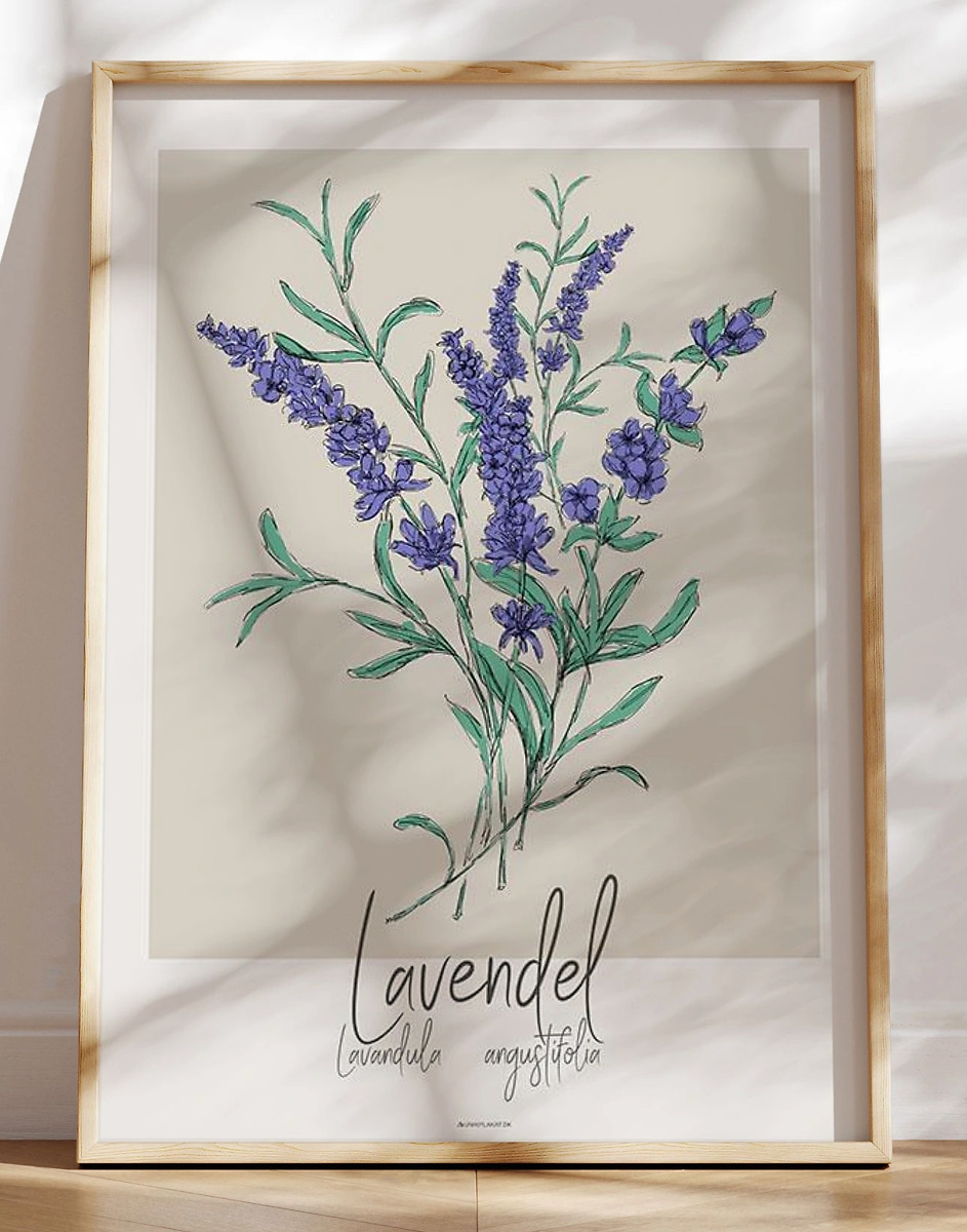 Kunstplakat Lavendel